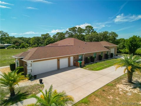 A home in Hernando