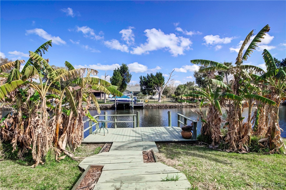 11625 W Riverhaven Drive, Homosassa, Florida image 26