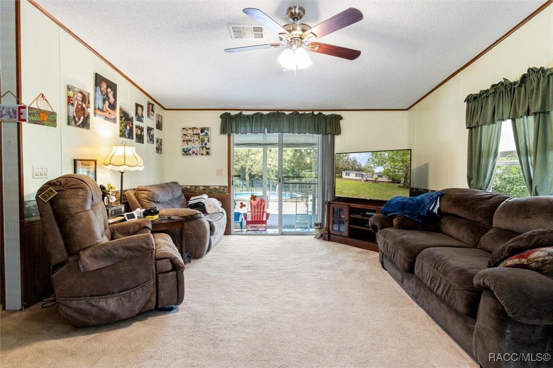 6195 S Coronado Terrace, Lecanto, Florida image 11