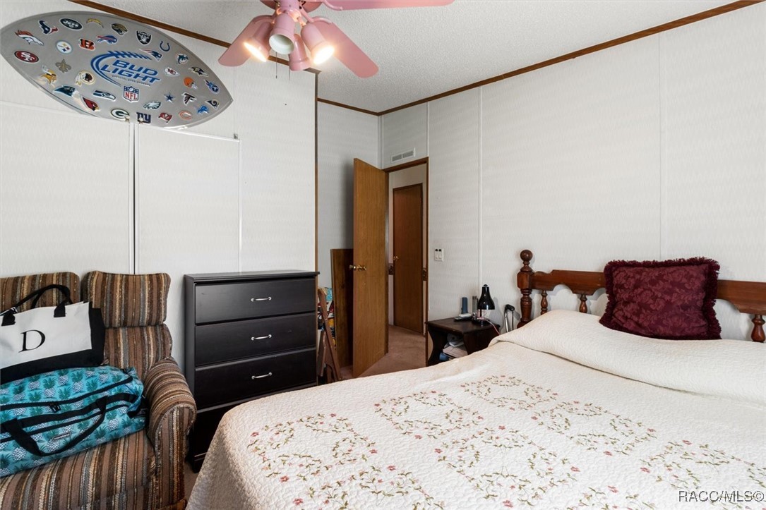 6195 S Coronado Terrace, Lecanto, Florida image 14