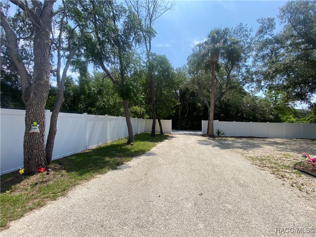 6724 S Hamburg Terrace, Homosassa, Florida image 28
