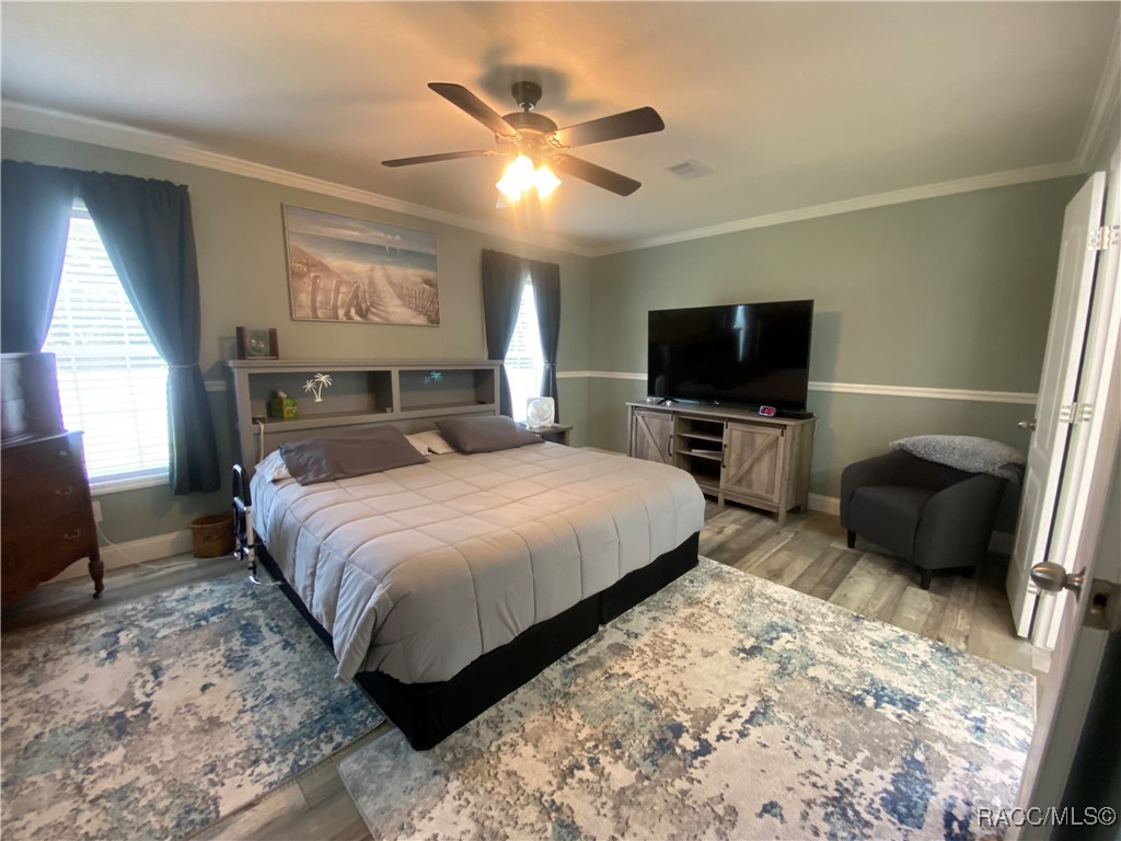 6724 S Hamburg Terrace, Homosassa, Florida image 13