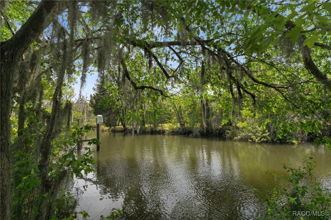 2184 N Watersedge Drive, Crystal River, Florida image 3
