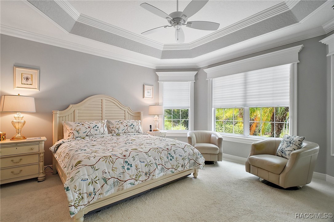 3537 Cluster Court, The Villages, Florida image 21