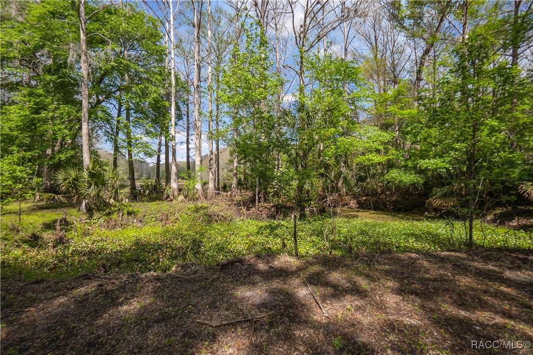 10631 E Lucas Trail, Inverness, Florida image 41