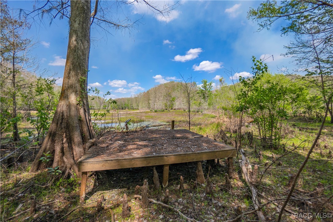 10631 E Lucas Trail, Inverness, Florida image 42