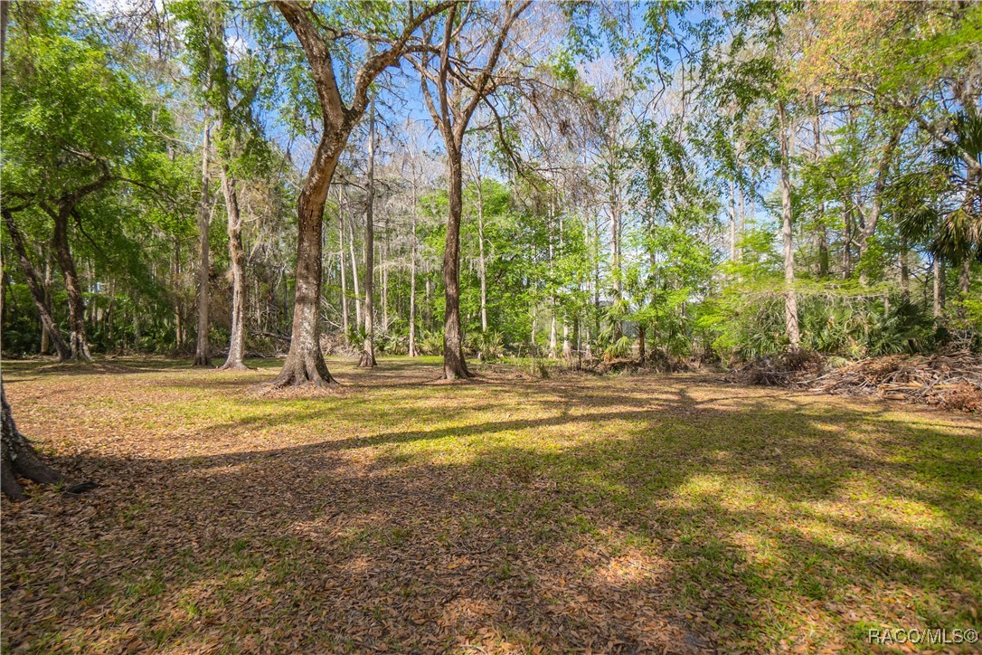 10631 E Lucas Trail, Inverness, Florida image 38