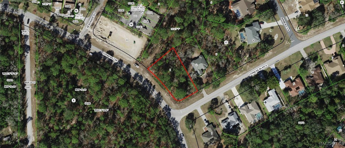 2 Cypress Boulevard, Homosassa, Florida image 1