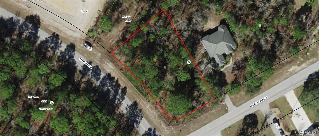 2 Cypress Boulevard, Homosassa, Florida image 2