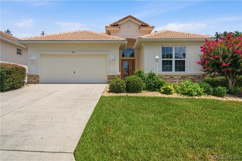 Homes For Sale - 165 W Doerr Path<br/> Hernando, FL 34442