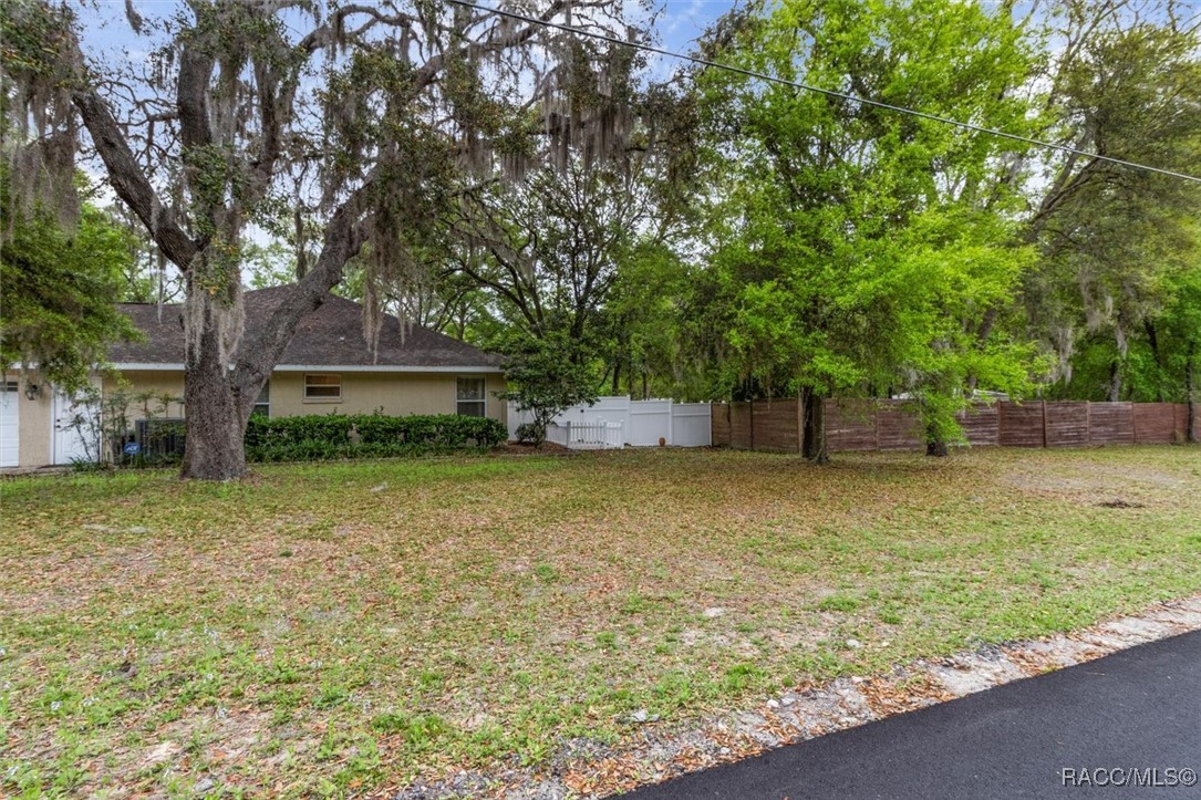 10419 N Rousseau Drive, Dunnellon, Florida image 5