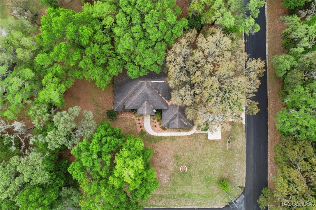 10419 N Rousseau Drive, Dunnellon, Florida image 50
