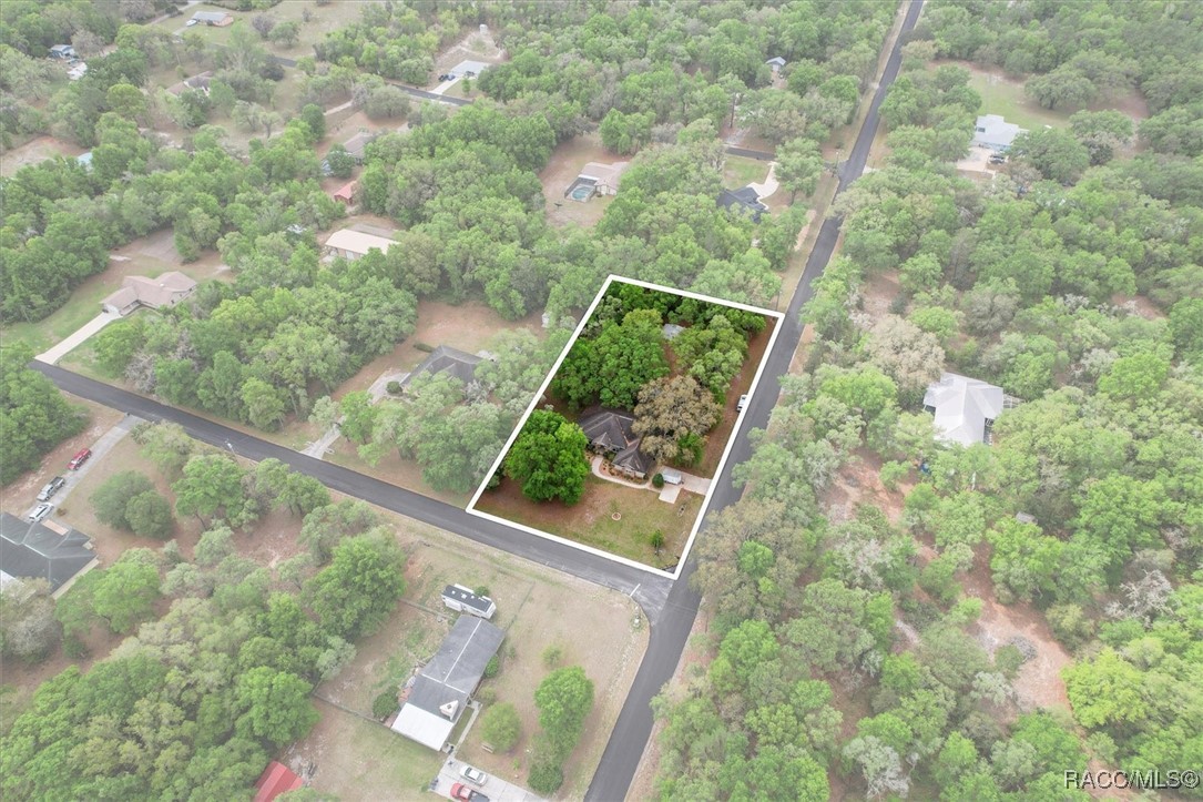 10419 N Rousseau Drive, Dunnellon, Florida image 2