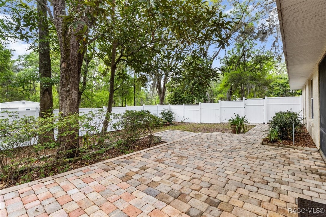 10419 N Rousseau Drive, Dunnellon, Florida image 41