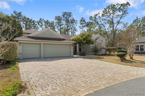 10 Boxleaf Court S Homosassa FL 34446