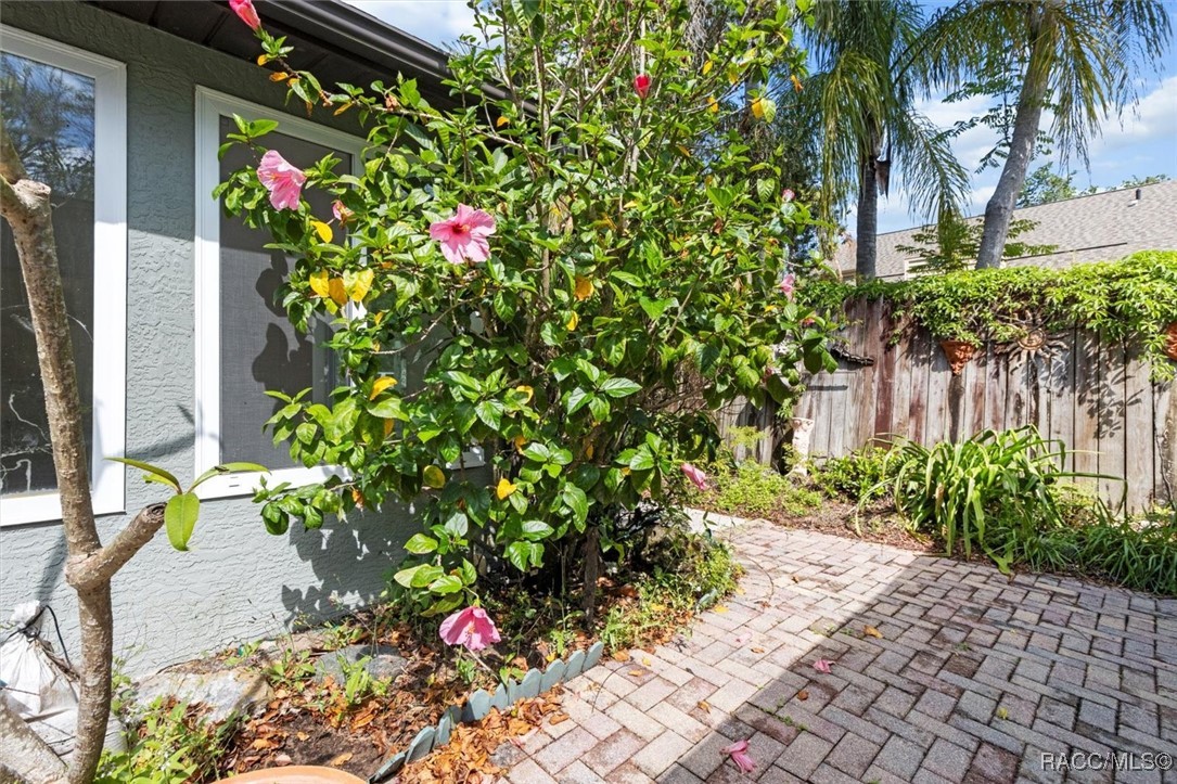 841 N Palm Springs Terrace, Crystal River, New York image 43