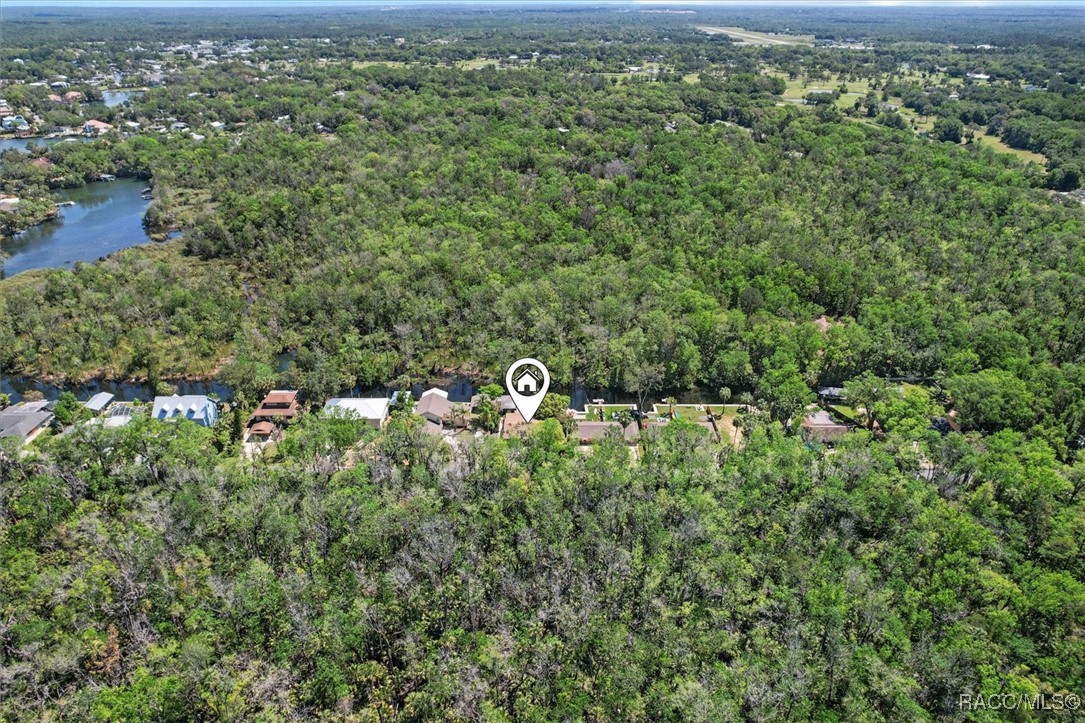 841 N Palm Springs Terrace, Crystal River, New York image 6