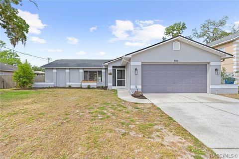 Homes For Sale - 9303 Gibralter Street<br/> Hernando County, Spring Hill, FL 34608