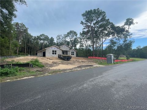 A home in Hernando