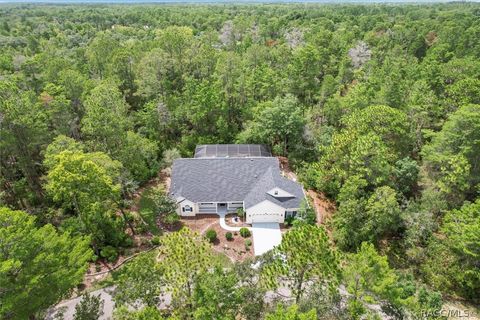 A home in Hernando