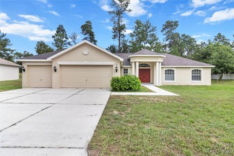 A home in Homosassa