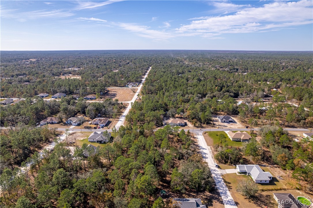 13190 English Fir Court, Brooksville, Florida image 7