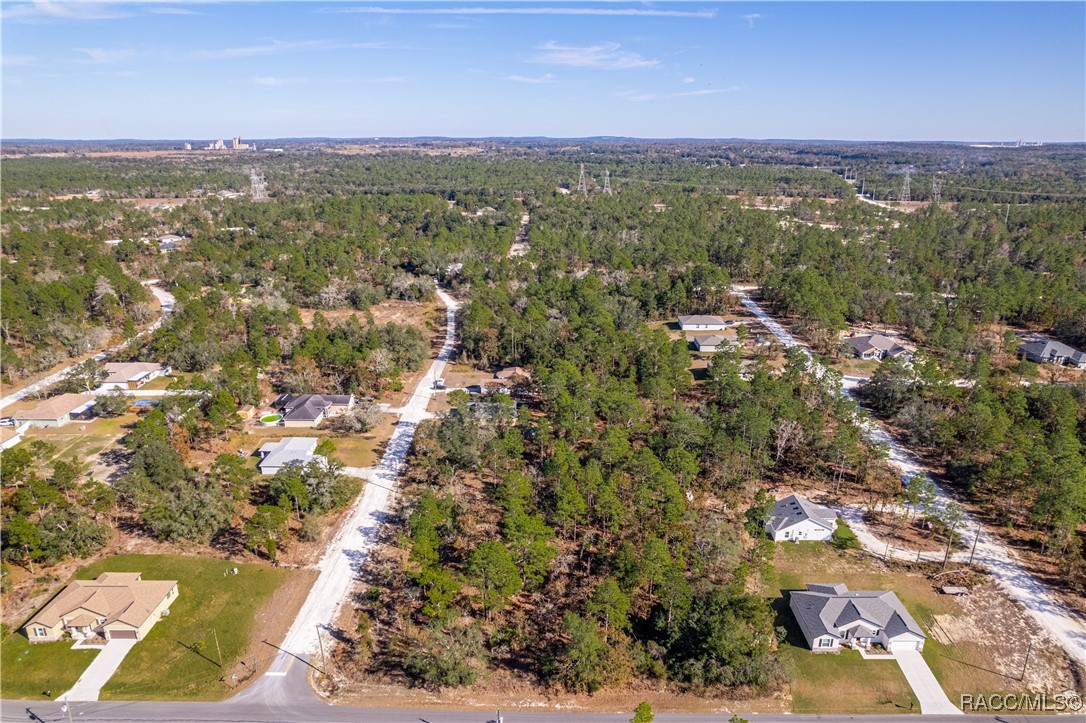 13190 English Fir Court, Brooksville, Florida image 11