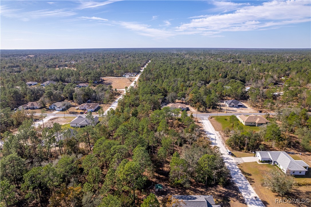 13190 English Fir Court, Brooksville, Florida image 6