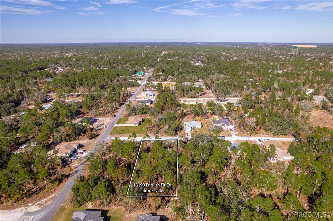 13190 English Fir Court, Brooksville, Florida image 3