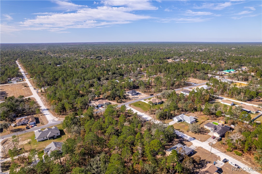 13190 English Fir Court, Brooksville, Florida image 8