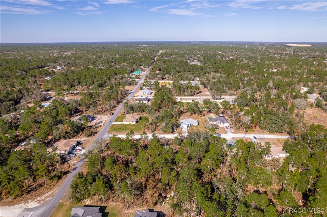 13190 English Fir Court, Brooksville, Florida image 9