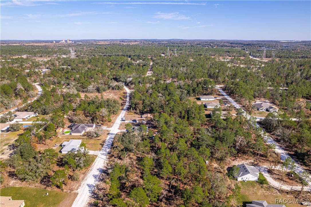 13190 English Fir Court, Brooksville, Florida image 12