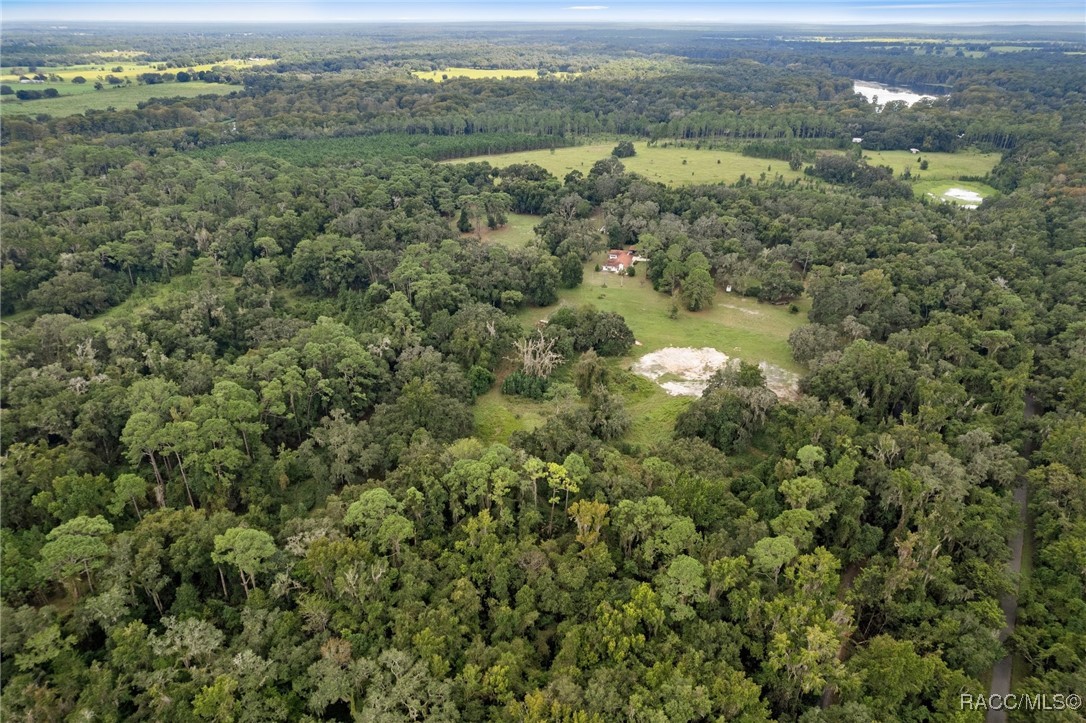 9722 E Lazy Oak Drive, Floral City, Florida image 4