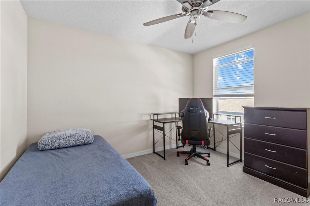 36541 Night Strawberry Court, Dade City, Florida image 38