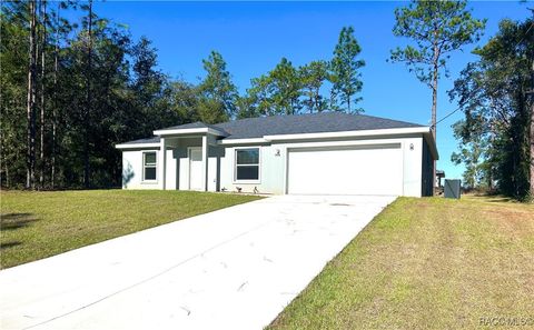 A home in Citrus Springs