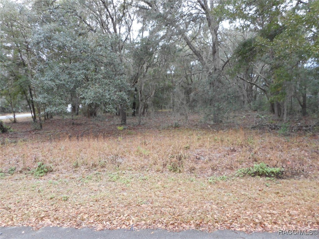 Lot 15 SW Waterview, Dunnellon, Florida image 1