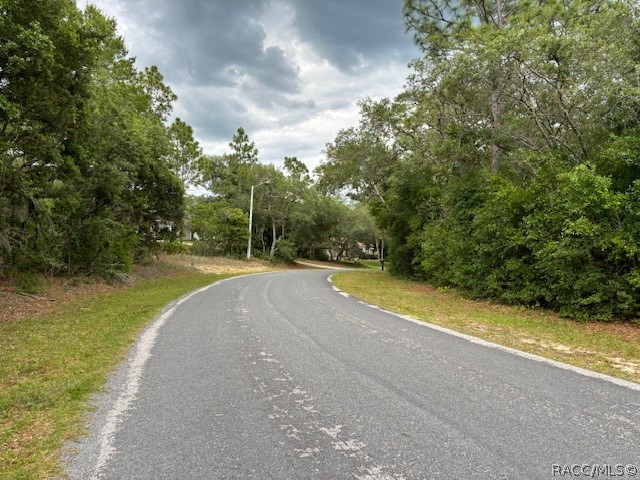 4270 N Indianriver Drive, Hernando, Florida image 6