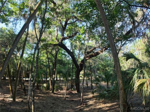 12397 W Edwards Court Inglis FL 34449