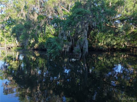 12397 W Edwards Court Inglis FL 34449