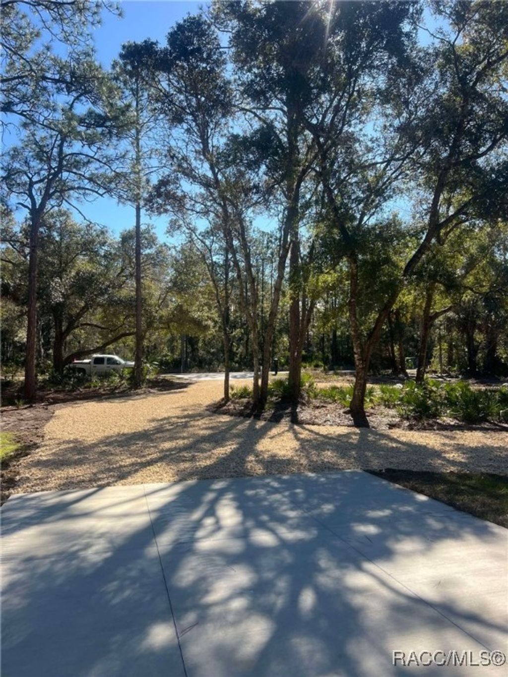 listing image 64