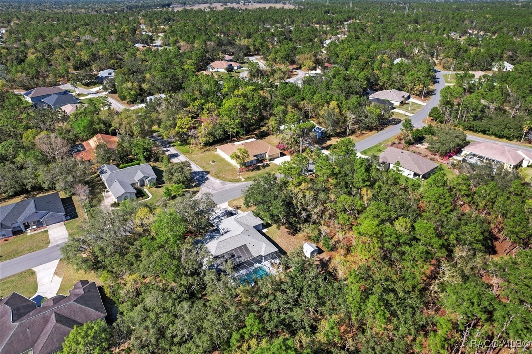 207 Linder Drive, Homosassa, Florida image 46