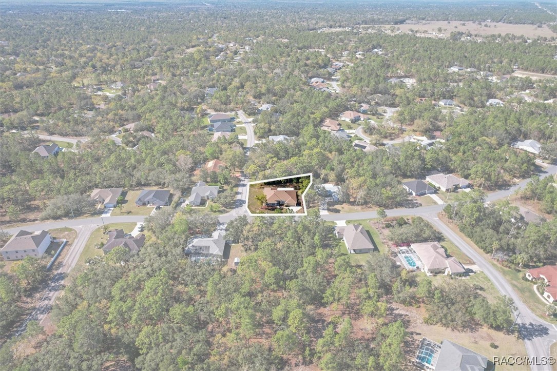207 Linder Drive, Homosassa, Florida image 3