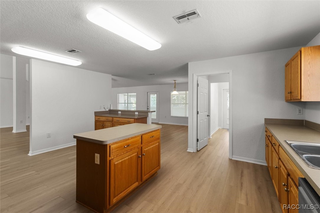 207 Linder Drive, Homosassa, Florida image 23