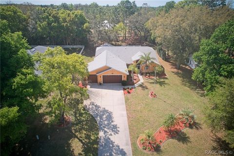 A home in Homosassa