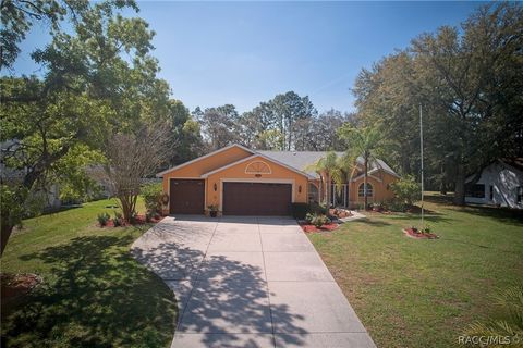 A home in Homosassa