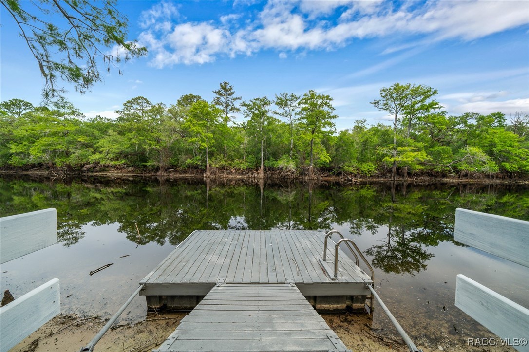 3503 E Westcove Court #10, Dunnellon, New York image 36