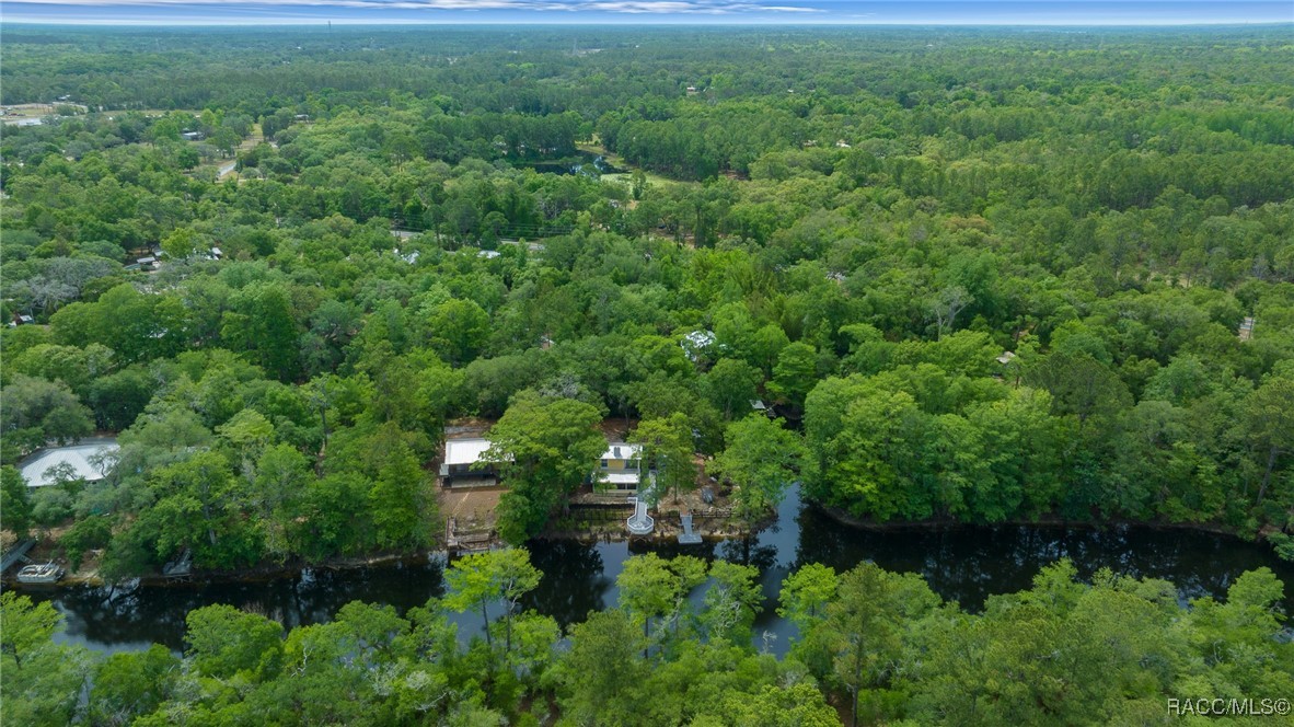 3503 E Westcove Court #10, Dunnellon, New York image 43