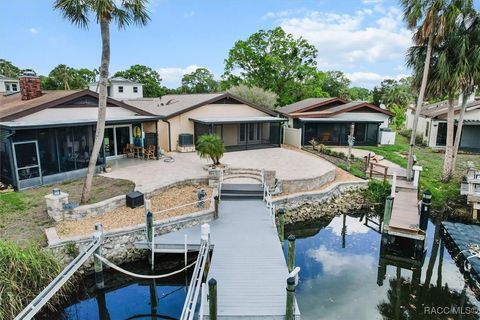 11546 W Clubview Drive Homosassa FL 34448