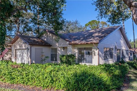 A home in Spring Hill