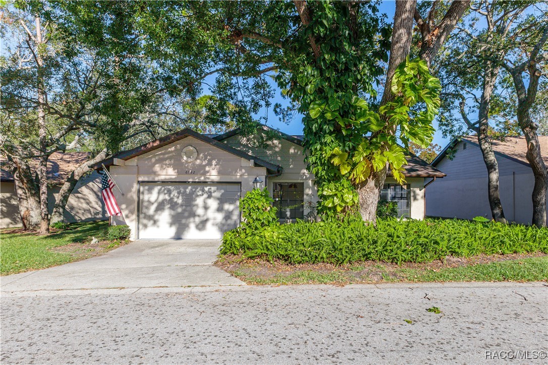 6732 Oak Cluster Circle, Spring Hill, Florida image 4